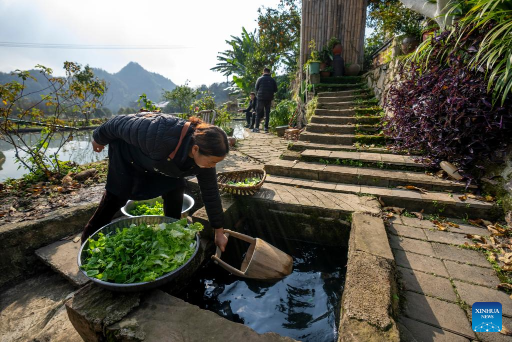 Chongqing's Tianfu Town transforms rural houses into thriving homestays