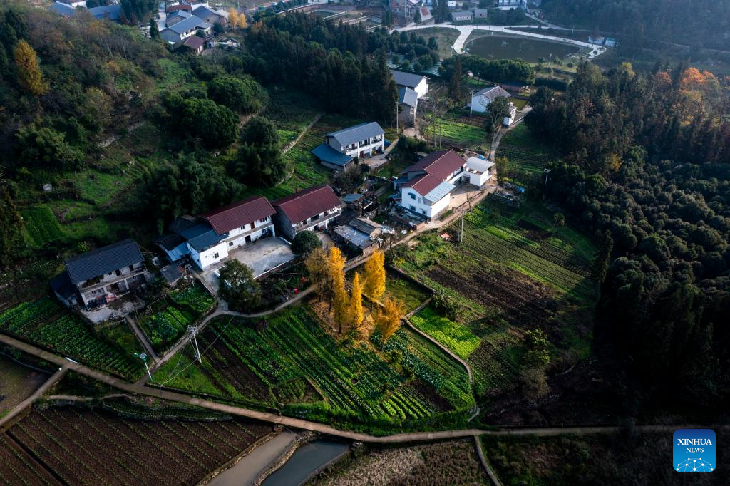 Chongqing's Tianfu Town transforms rural houses into thriving homestays