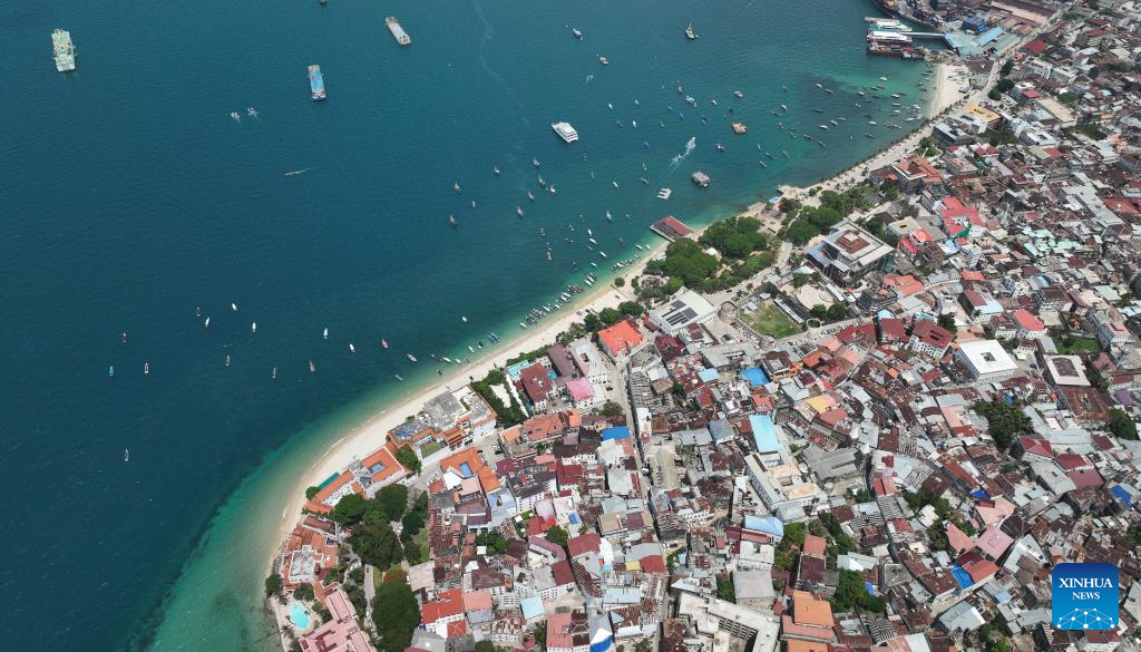 View of Stone Town in Zanzibar, Tanzaniay