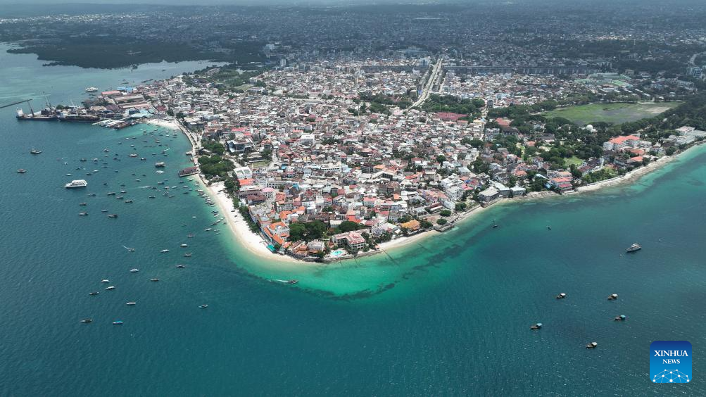 View of Stone Town in Zanzibar, Tanzaniay