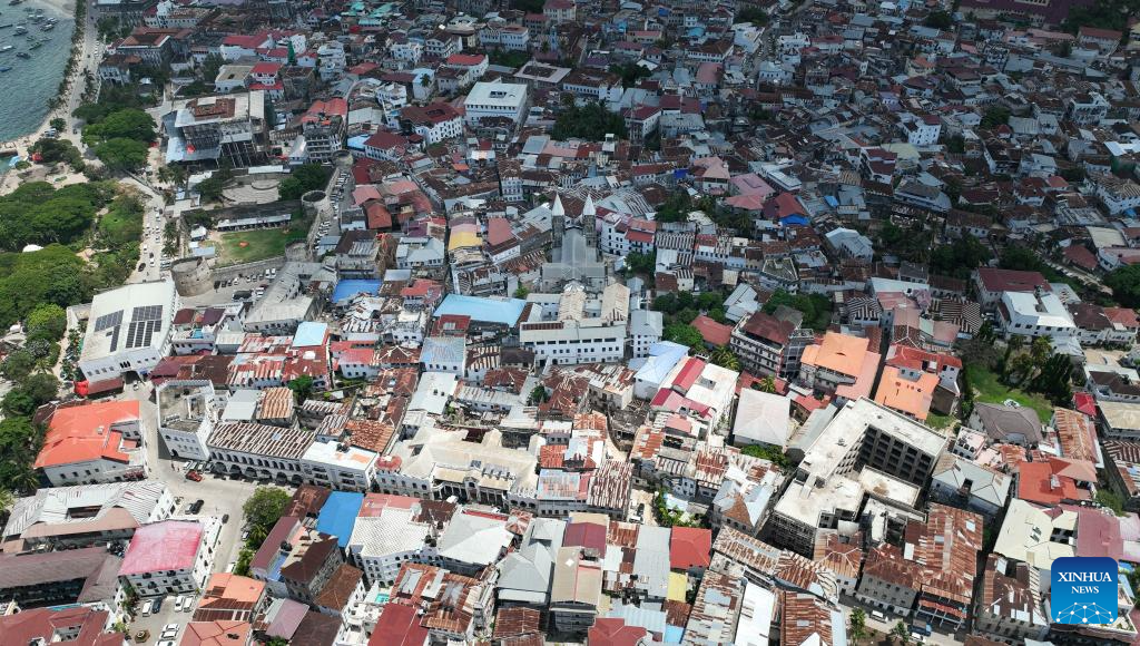 View of Stone Town in Zanzibar, Tanzaniay