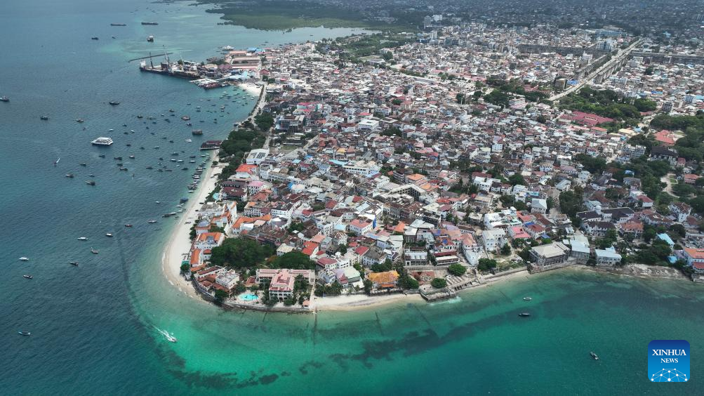 View of Stone Town in Zanzibar, Tanzaniay