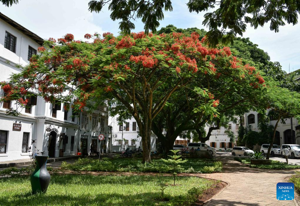 View of Stone Town in Zanzibar, Tanzaniay