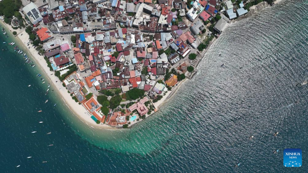 View of Stone Town in Zanzibar, Tanzaniay