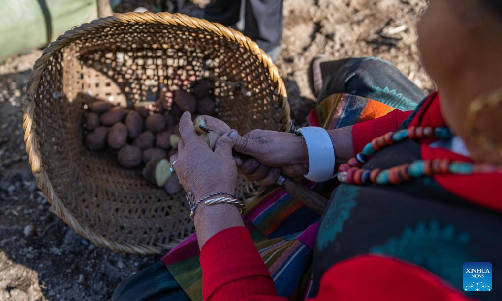 In pics: once-isolated township in Xizang embraces modern life