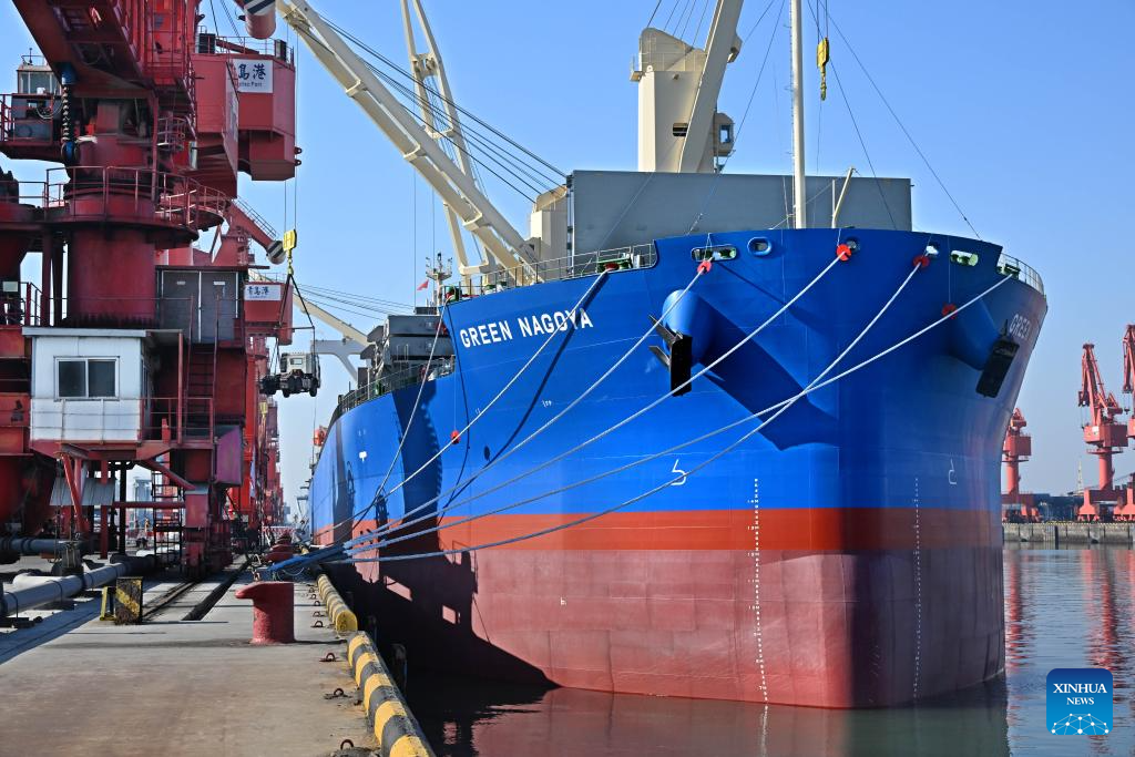 New direct shipping route between China, southeast Africa opens in E China's Qingdao