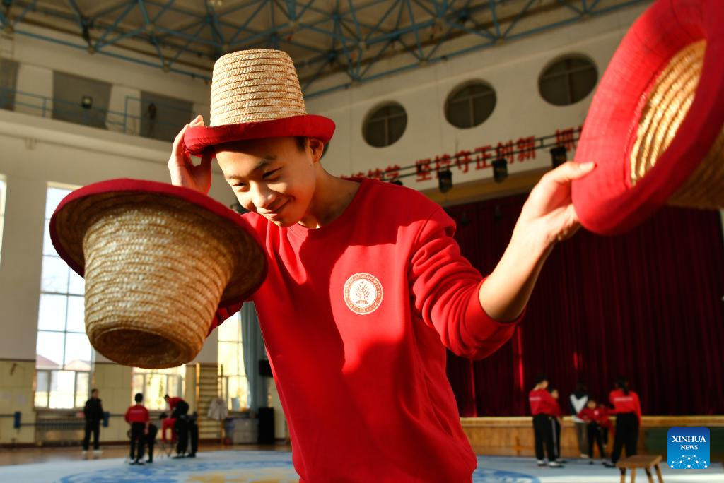 In pics: Wuqiao acrobatics in Hebei, N China