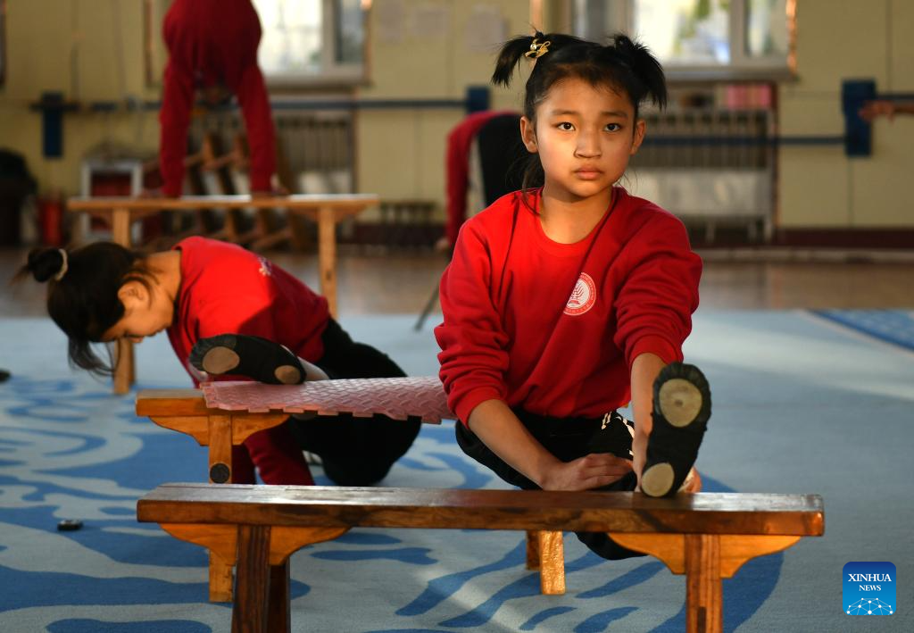 In pics: Wuqiao acrobatics in Hebei, N China