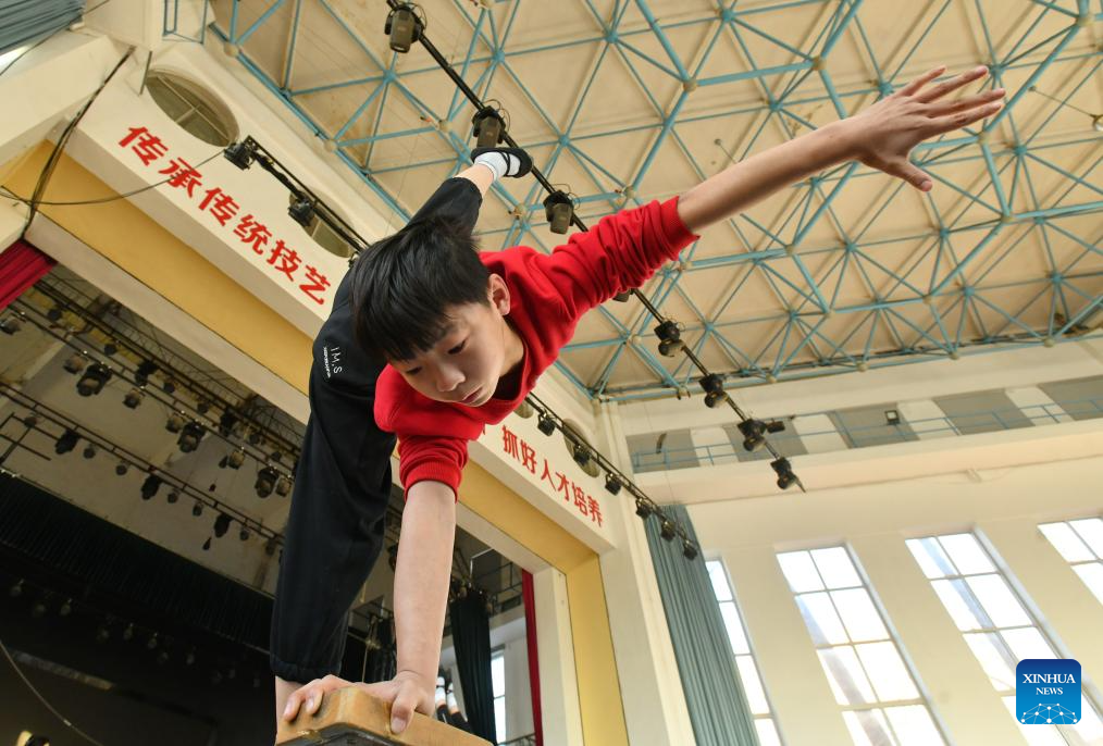 In pics: Wuqiao acrobatics in Hebei, N China