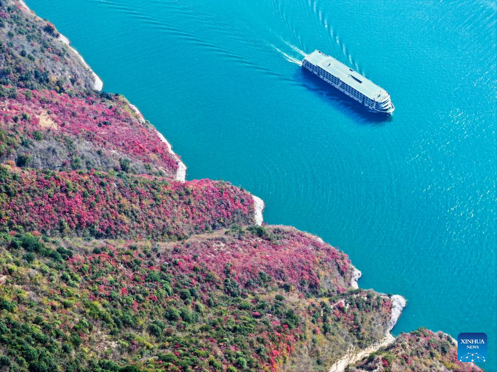 Red leaves dye mountains along Wuxia Gorge in SW China's Chongqing