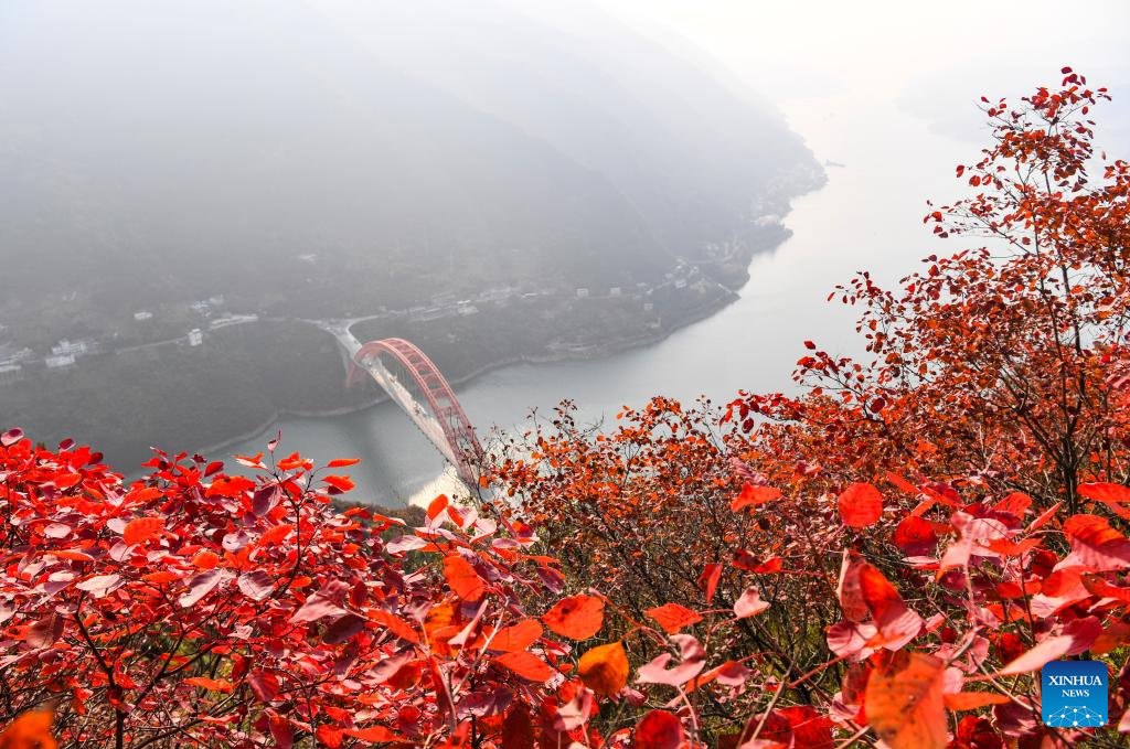 Red leaves dye mountains along Wuxia Gorge in SW China's Chongqing