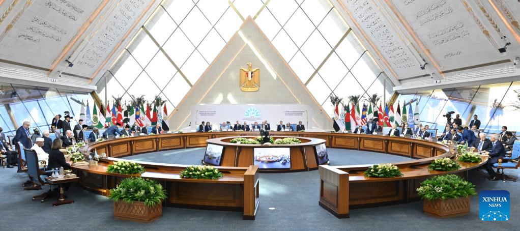 Leaders from Egypt, Türkiye, Iran address Mideast issues at D-8 summit