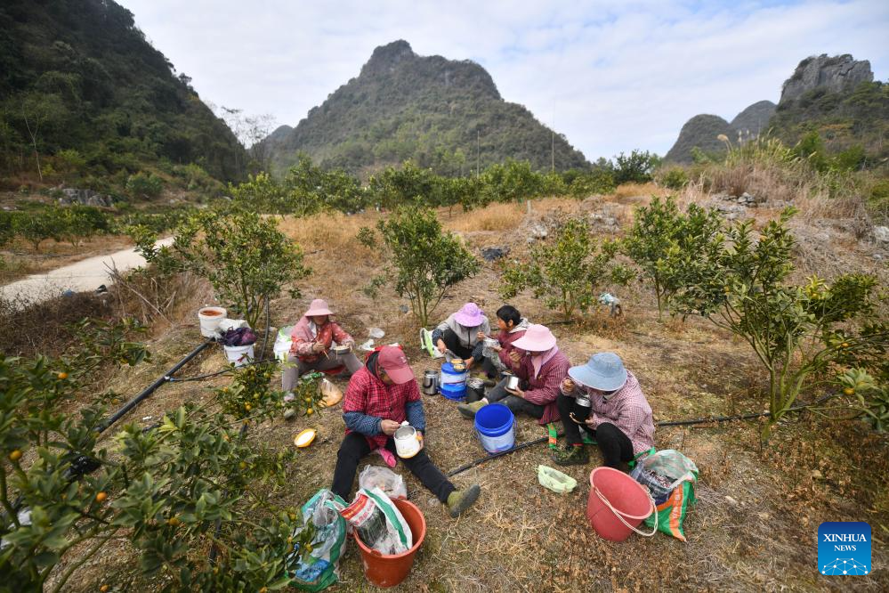 Local characteristic agriculture provides more jobs for rural women in south China's Liuzhou city