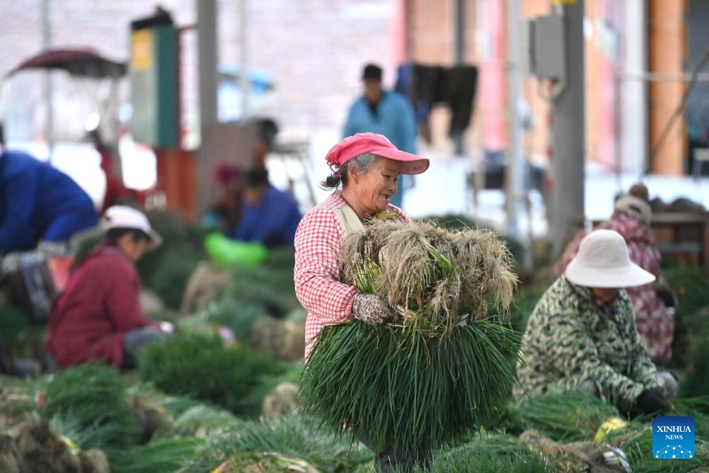 Local characteristic agriculture provides more jobs for rural women in south China's Liuzhou city