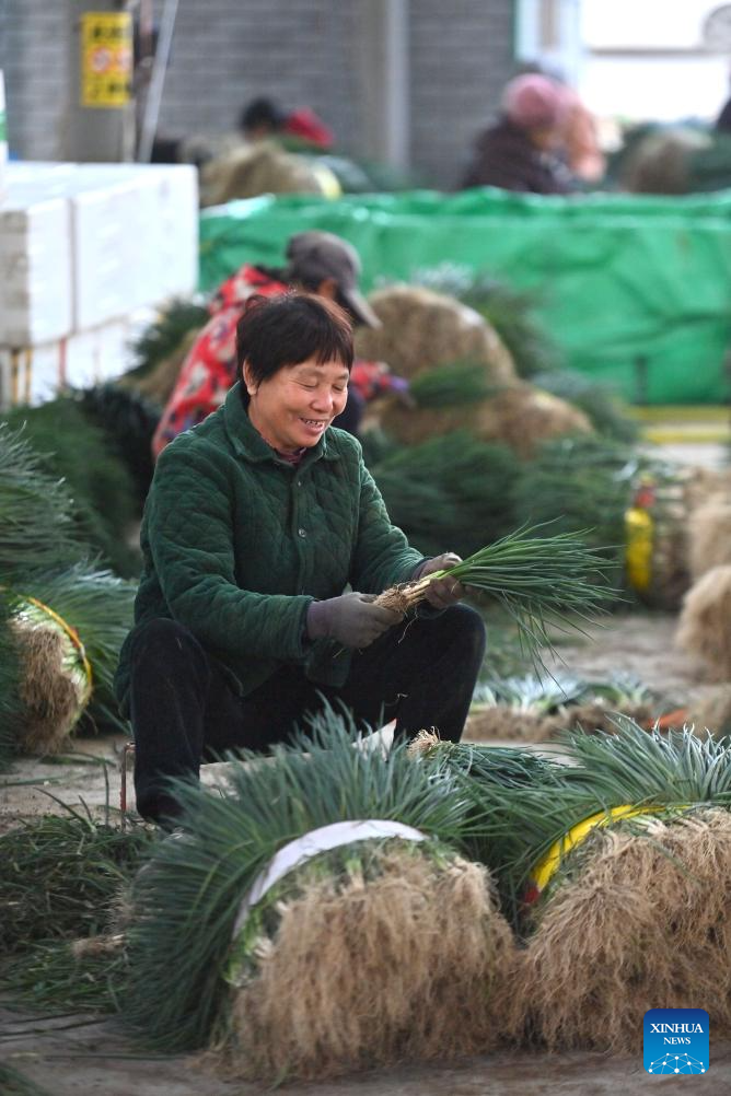 Local characteristic agriculture provides more jobs for rural women in south China's Liuzhou city