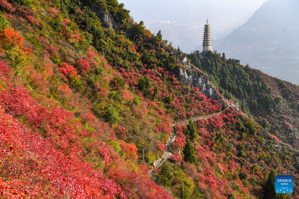 Red leaves dye mountains along Wuxia Gorge in SW China's Chongqing