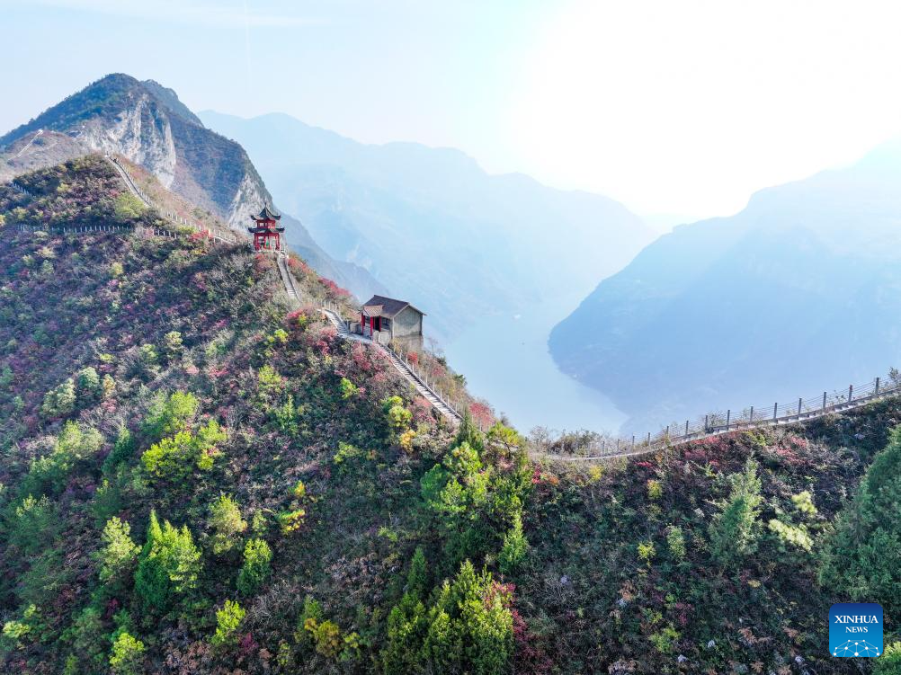 Red leaves dye mountains along Wuxia Gorge in SW China's Chongqing