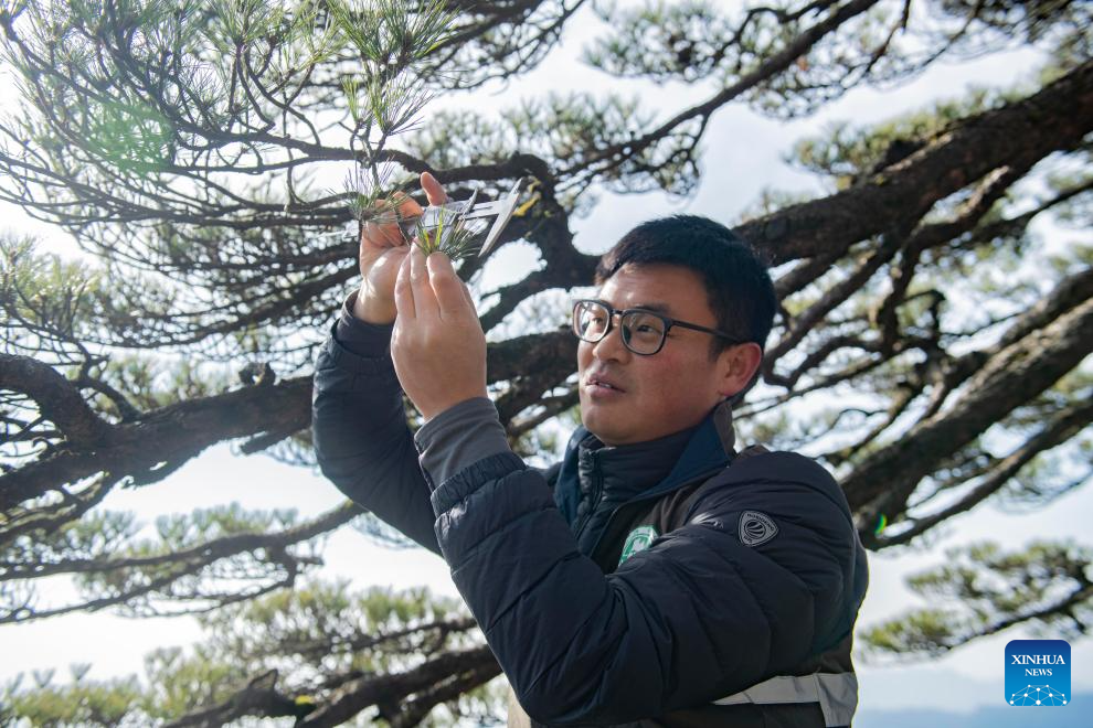 In pics: protectors of Huangshan Mountain, a world heritage site