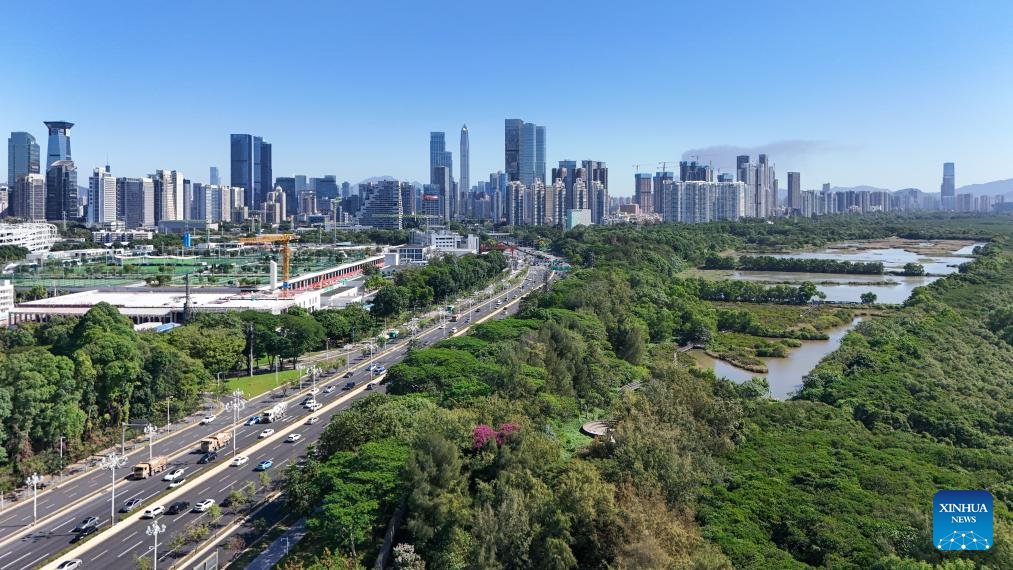 Aerial view of Guangdong-Hong Kong-Macao Greater Bay Area