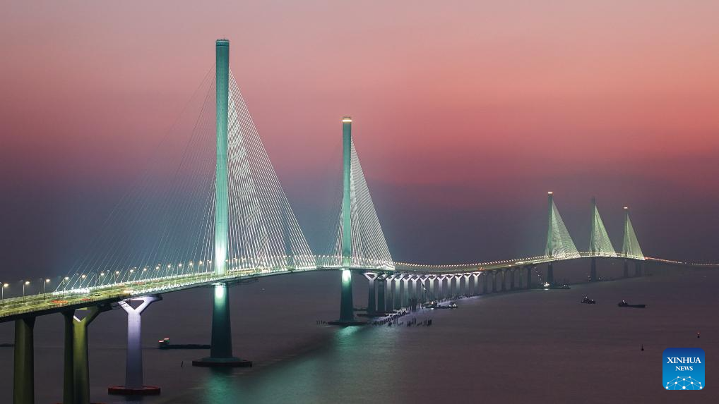 Aerial view of Guangdong-Hong Kong-Macao Greater Bay Area