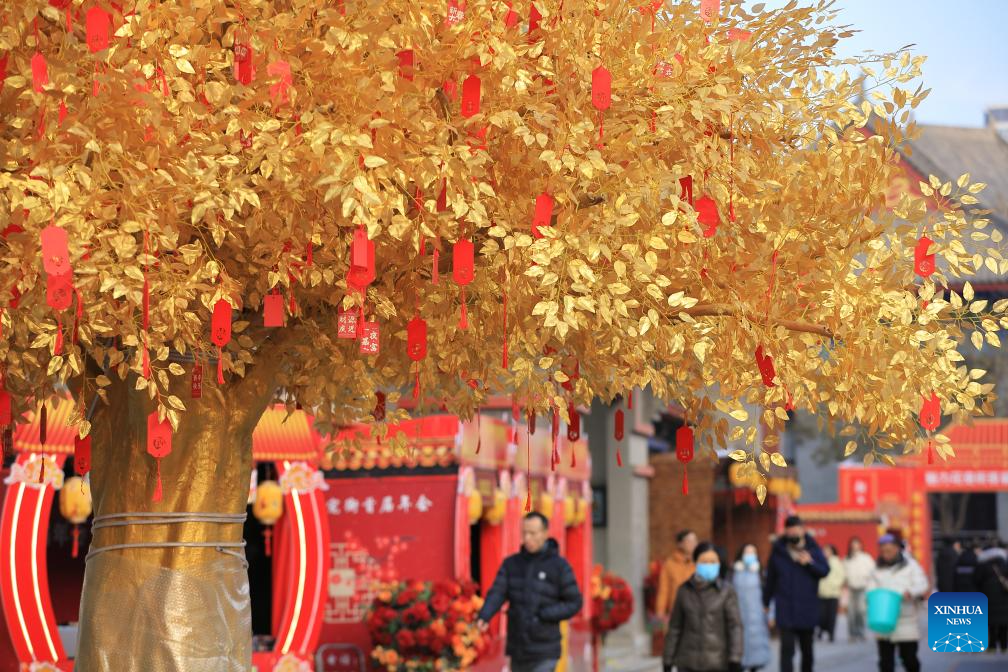 People across China prepare for upcoming New Year 2025