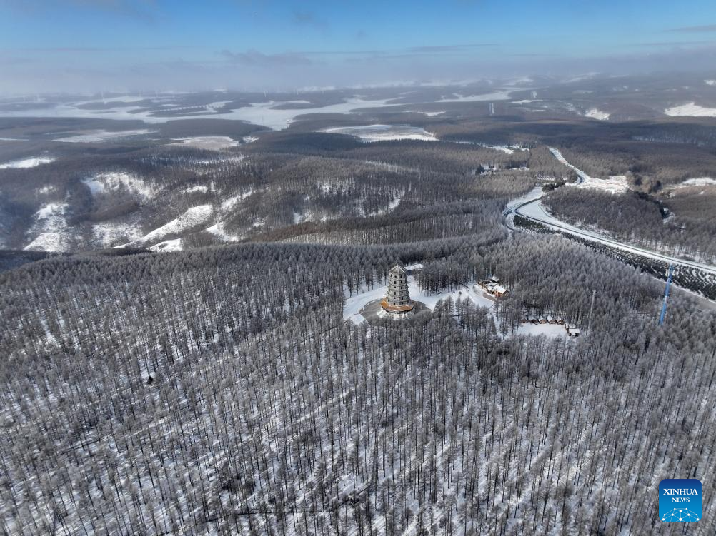 Winter view of Saihanba National Forest Park in N China