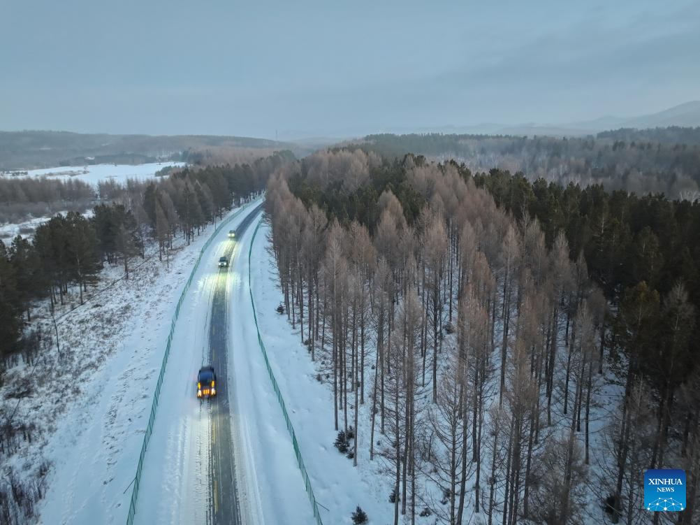 Winter view of Saihanba National Forest Park in N China