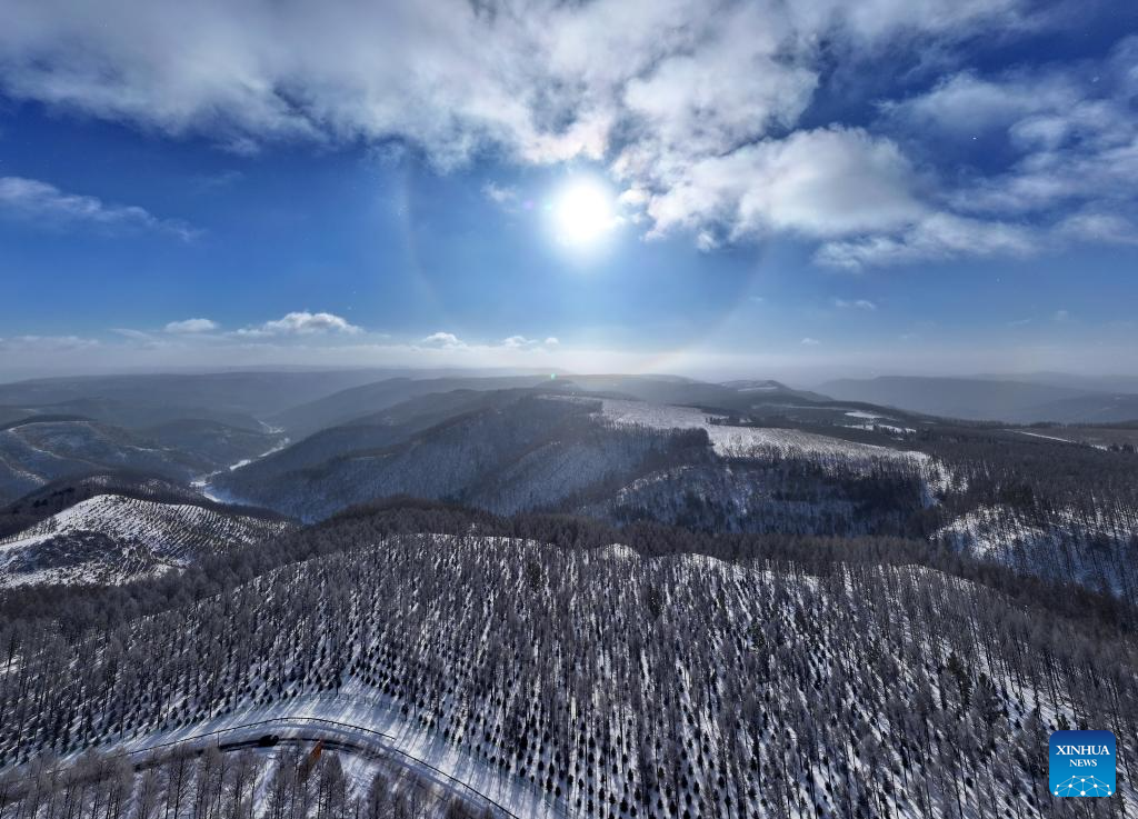 Winter view of Saihanba National Forest Park in N China