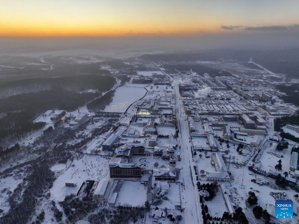 Winter view of Saihanba National Forest Park in N China