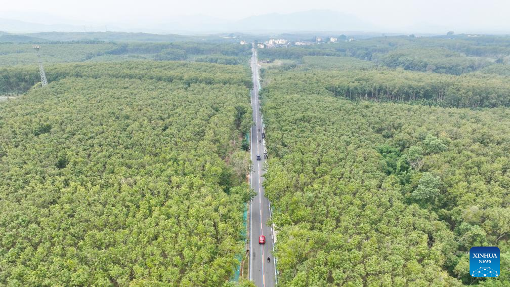 Ring road surrounding national tropical rain forest park in Hainan opens to public traffic