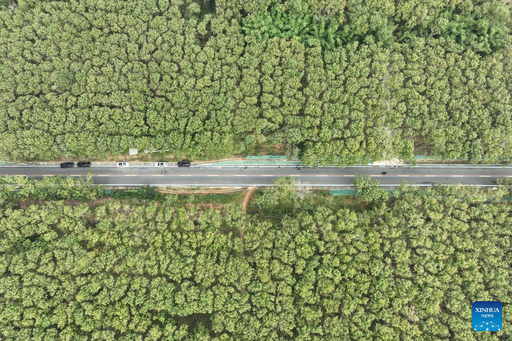 Ring road surrounding national tropical rain forest park in Hainan opens to public traffic