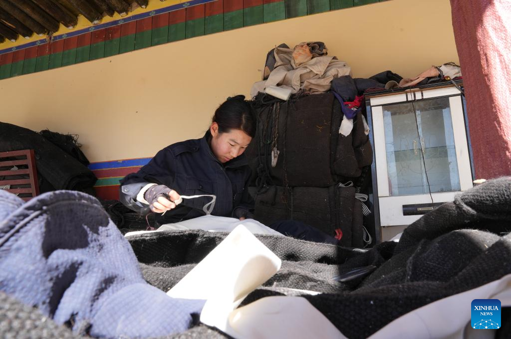 Maintenance team commits to preservation of Potala Palace