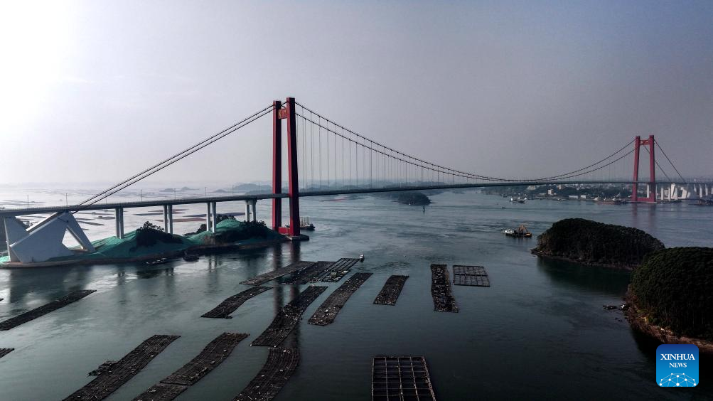 Longest cross-sea bridge in China's Guangxi opens to traffic