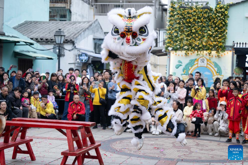 Int'l Dragon and Lion Dance Day marked in Macao