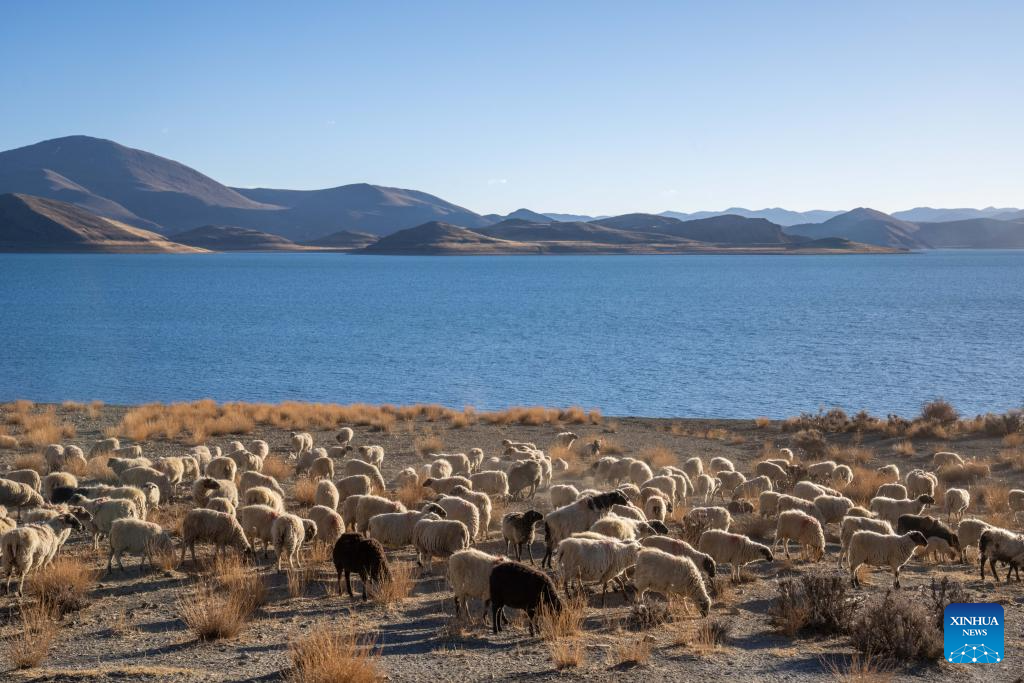 Scenery of Yamzbog Yumco Lake in Xizang