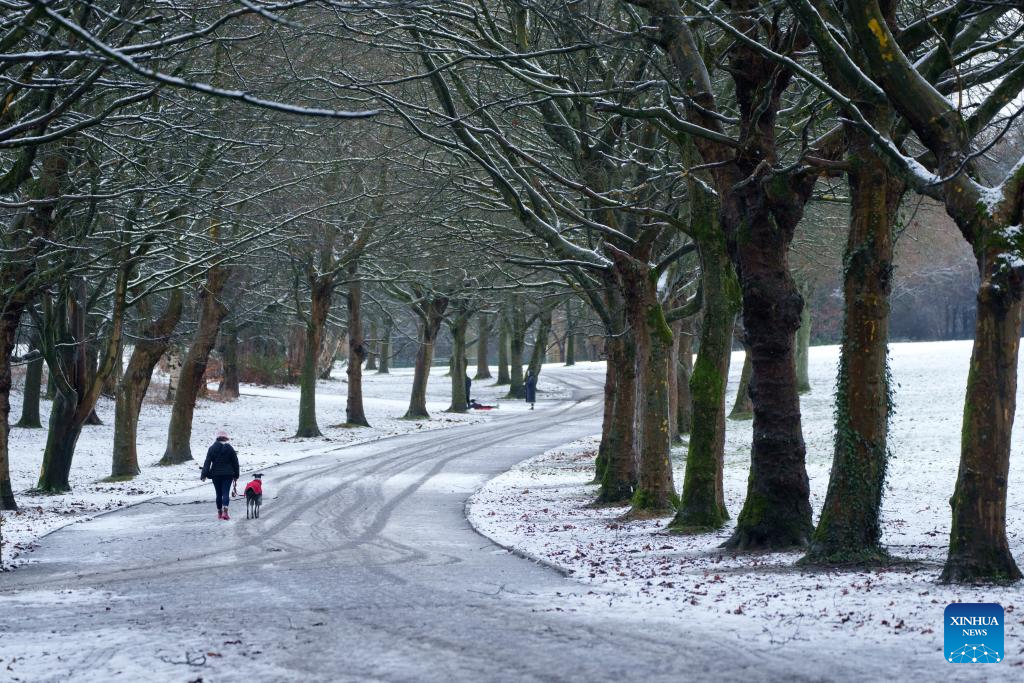 Heavy snow in Britain causes travel disruption, power cuts