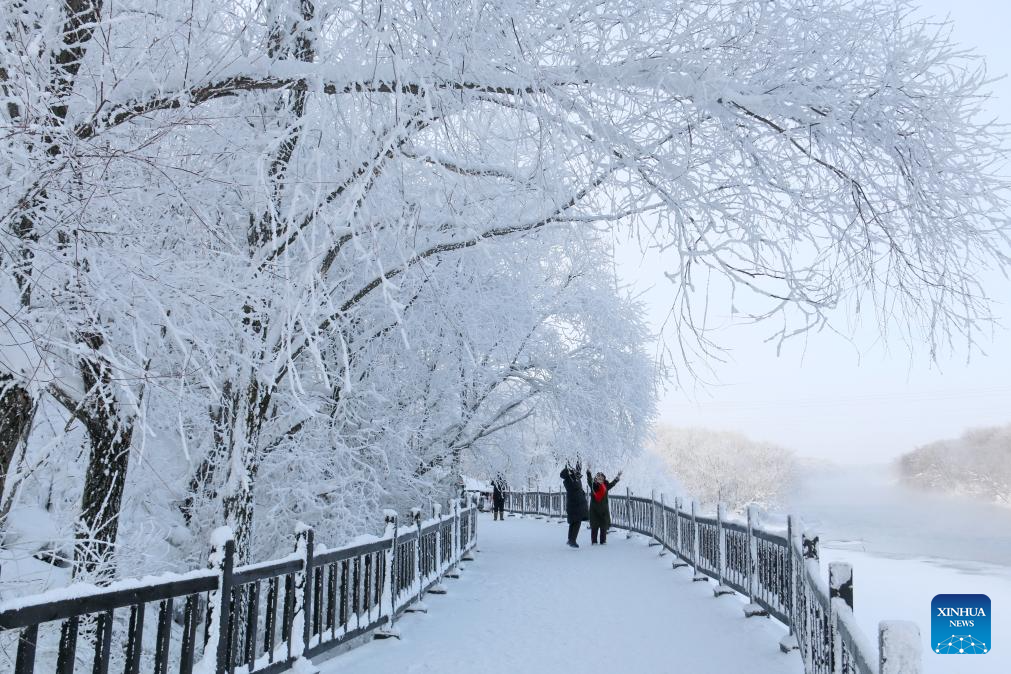 Rime scenery in China's Heilongjiang