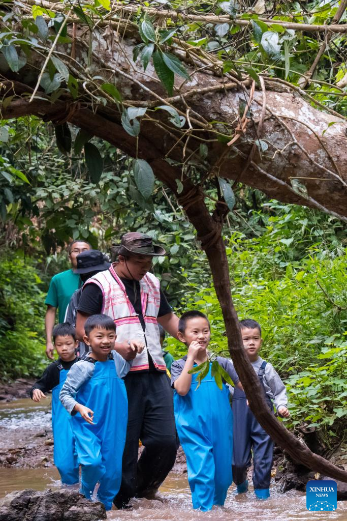 Yunnan's Jinghong City develops tourism with rainforest resources, ethnic cultures