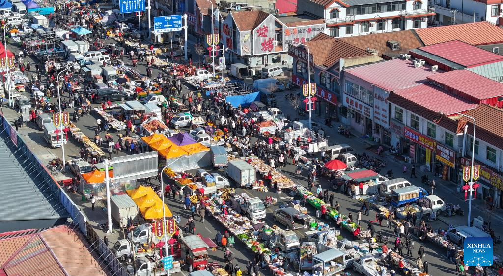 In pics: historic open-air market in China's Tianjin