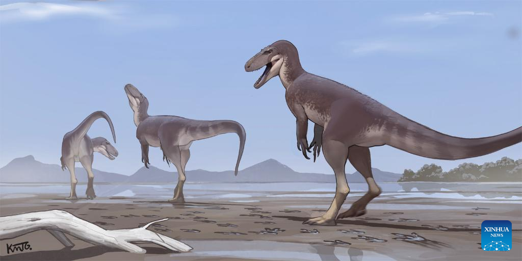 Across China: NW China dinosaur tracks reveal Cretaceous behaviors