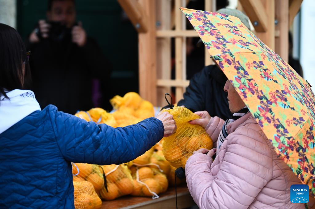 Annual citrus festival held in Attard, Malta