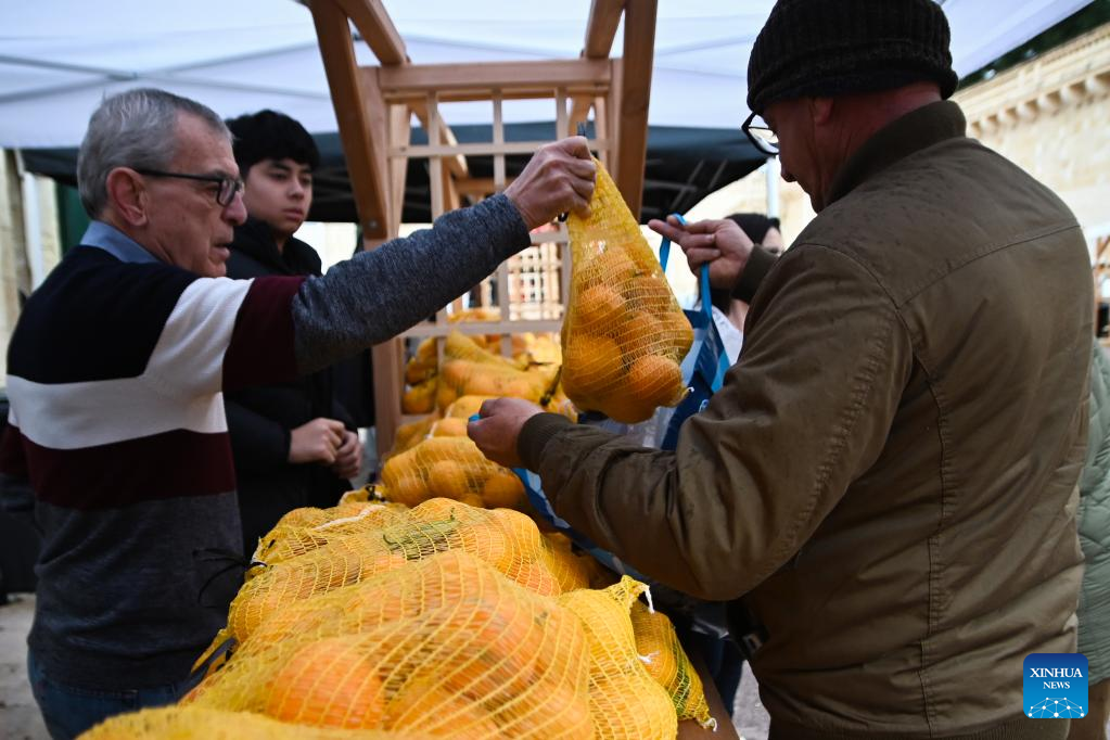 Annual citrus festival held in Attard, Malta