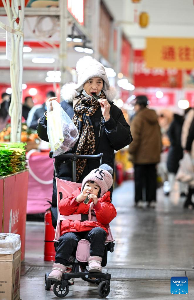 In pics: 2025 Yinchuan Lunar New Year's shopping festival