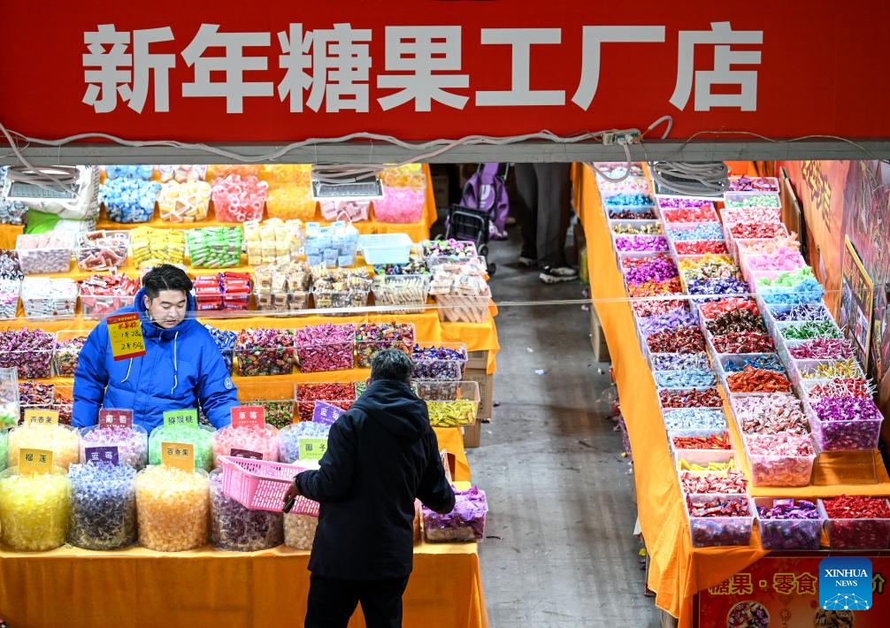 In pics: 2025 Yinchuan Lunar New Year's shopping festival