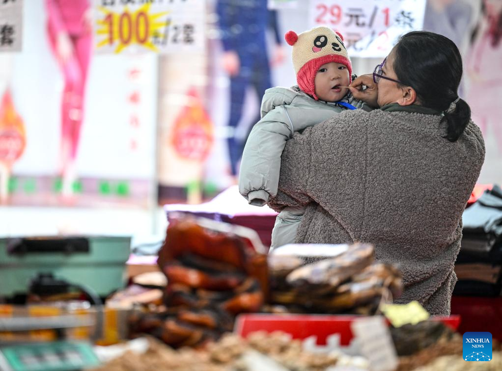 In pics: 2025 Yinchuan Lunar New Year's shopping festival