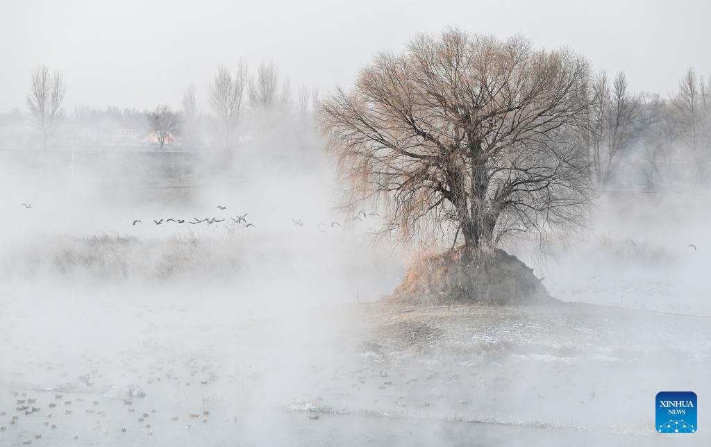 View of Dahei River country park in Hohhot, N China's Inner Mongolia