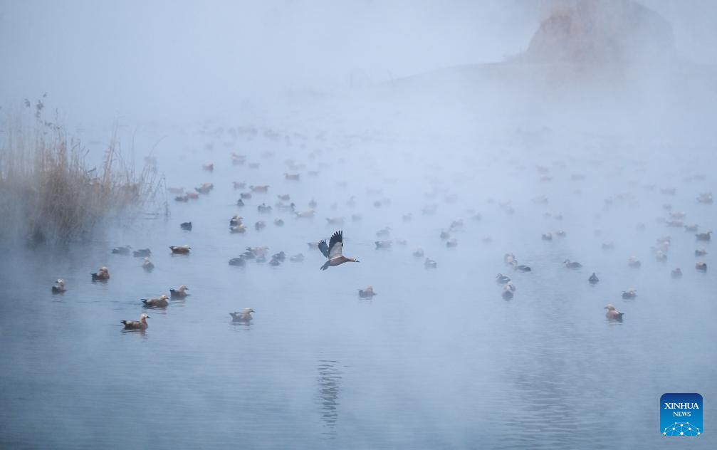 View of Dahei River country park in Hohhot, N China's Inner Mongolia