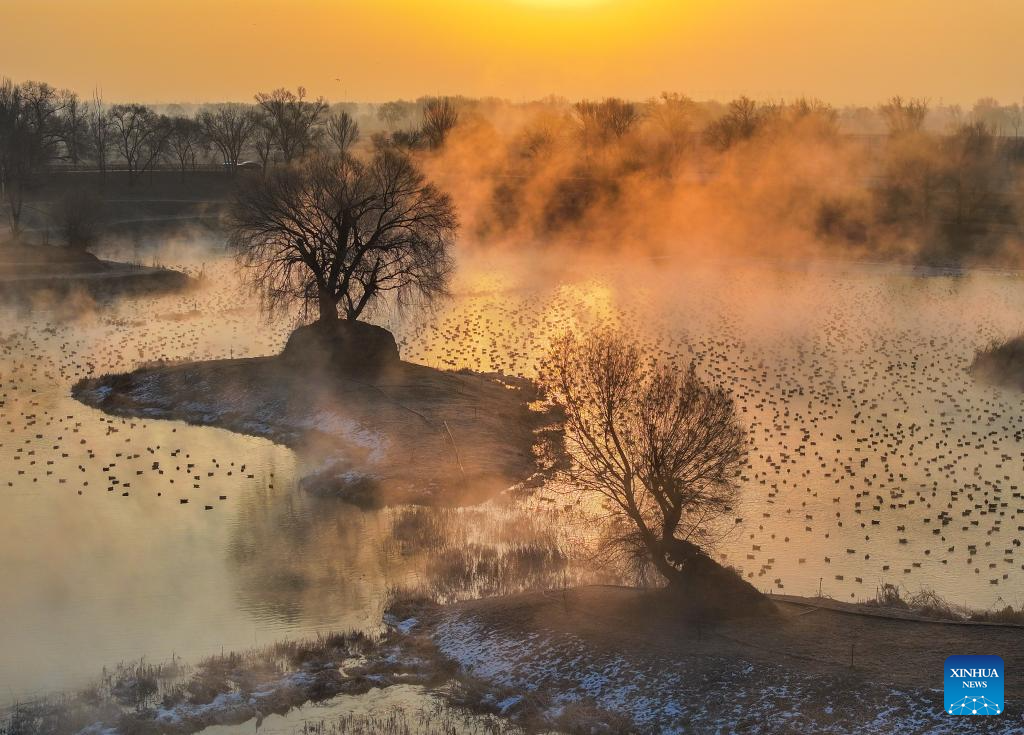 View of Dahei River country park in Hohhot, N China's Inner Mongolia