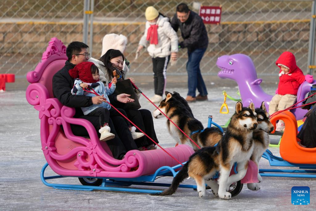 People have fun on ice rink at Tuanjiehu Park in Beijing