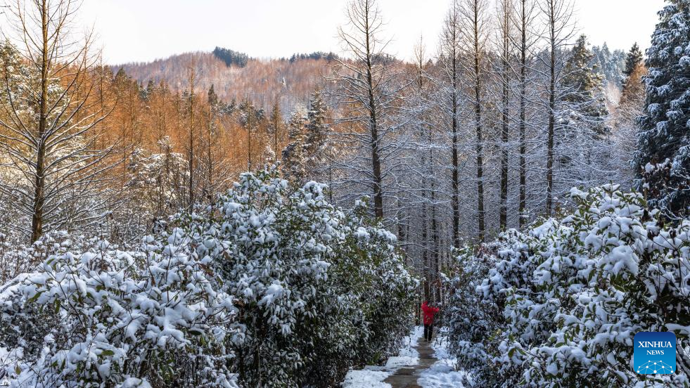 Snow scenery of Shanwangping Karst national ecological park in Chongqing